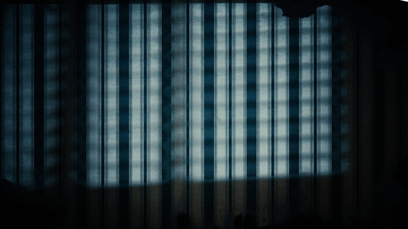 meet the team image1